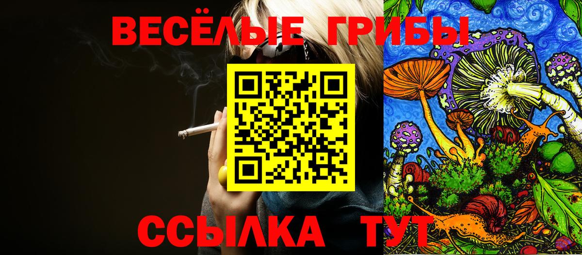 Калач-на-Дону  где найти   Галлюциногенные грибы Psilocybe  Вход с VPN  Псилоцибиновые грибы мухоморы 