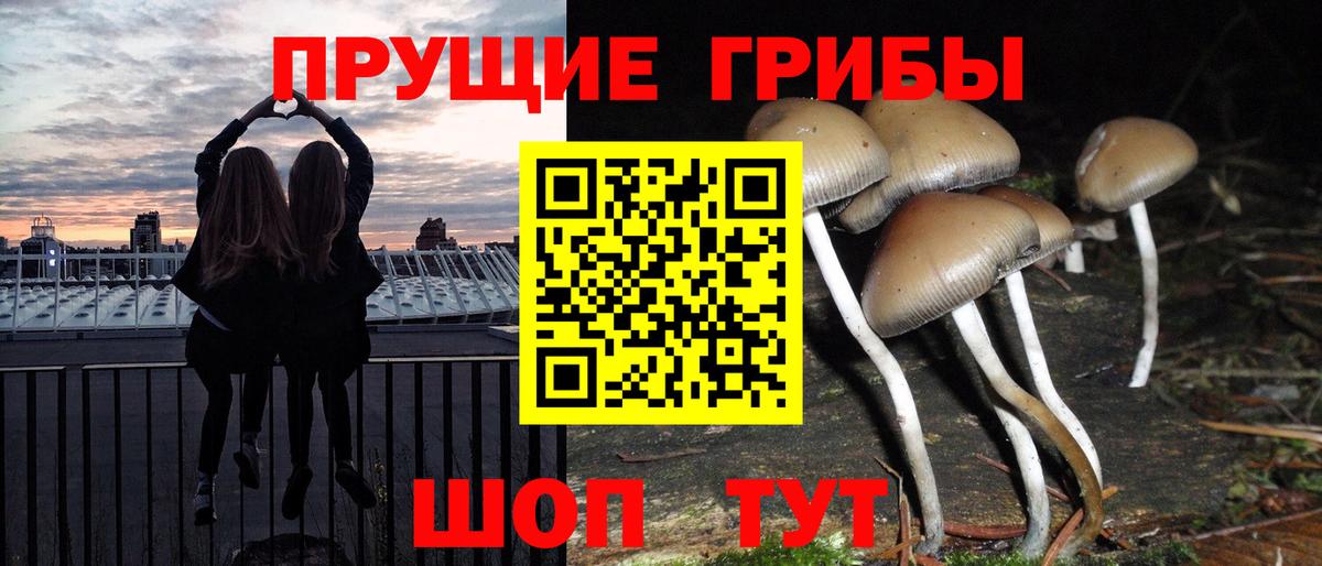 Псилоцибиновые грибы ЛСД Калач-на-Дону
